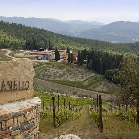 Agriturismo Panzanello Panzano in Chianti Екстериор снимка