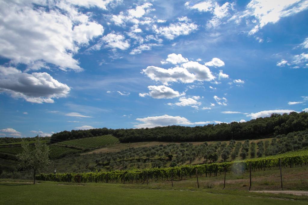 Agriturismo Panzanello Panzano in Chianti Екстериор снимка
