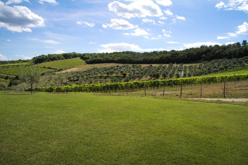 Agriturismo Panzanello Panzano in Chianti Екстериор снимка